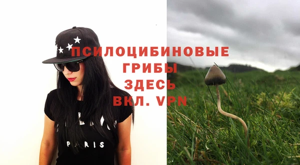 дмт Елизово