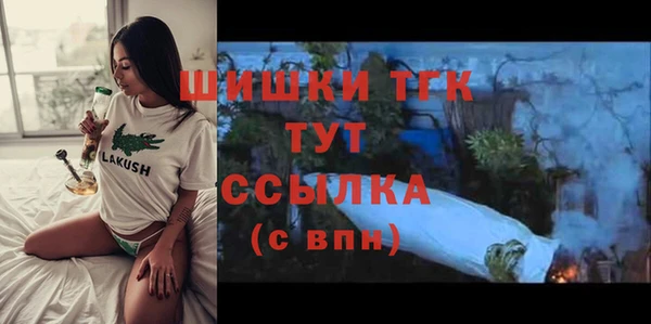 дмт Елизово