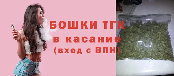 дмт Елизово