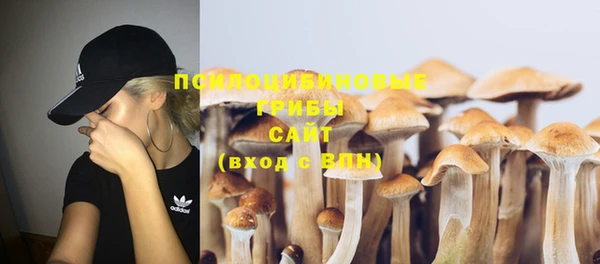 спиды Елабуга