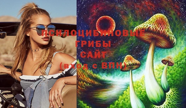 дмт Елизово