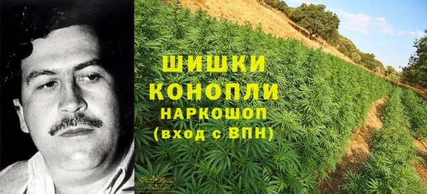 спиды Елабуга