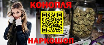 не бодяженный Гай
