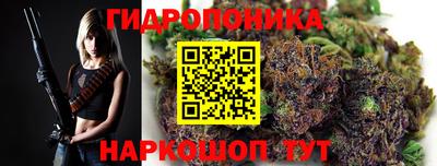 не бодяженный Гай