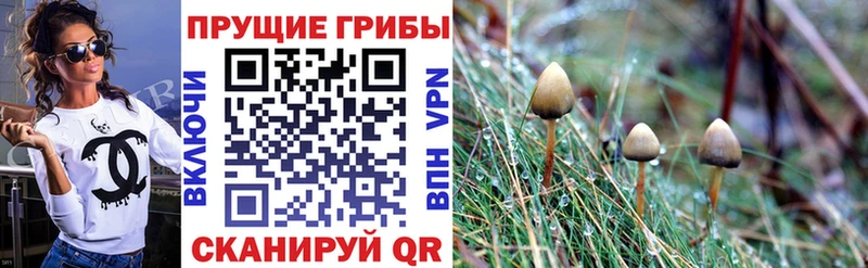 MEGA ССЫЛКА  Ишимбай  Галлюциногенные грибы Psilocybe 