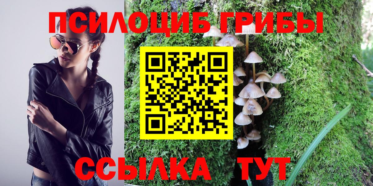 Ишимбай  Псилоцибиновые грибы Psilocybe  Вход с VPN  что такое наркотик  Галлюциногенные грибы GOLDEN TEACHER 